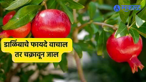 Health Benefits Of Pomegranate