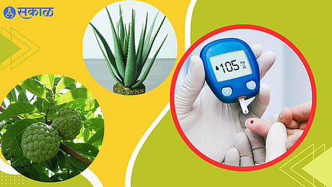 Insulin Control Tips