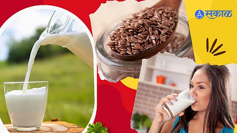 अळशी आणि जवसाचे फायदे