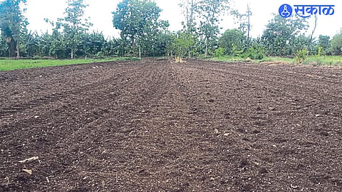 Chinoda: Cultivated area in Chinoda area lying fallow due to lack of rain.