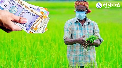 Crop Loan: शेतकऱ्यांसाठी महत्त्वाची बातमी! पीक कर्ज वाटपाचे ४०० कोटी शिल्लक; नूतनीकरणाची उद्या शेवटची संधी