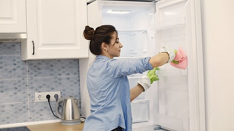 Clean Fridge