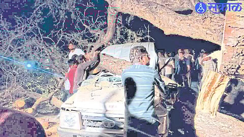 Workers and villagers removing tamarind trees that fell on a police vehicle near the Anjani project canal between Kasoda-Arandol.