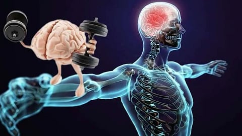 Muscle Memory
