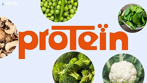 Protein Source