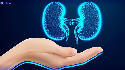 Kidney Health