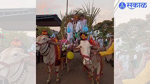 Procession of Kalpesh Chaure in a bullock cart