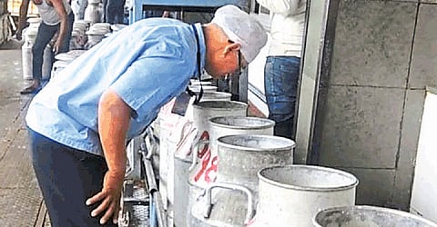 The quality of the milk is determined by the smell