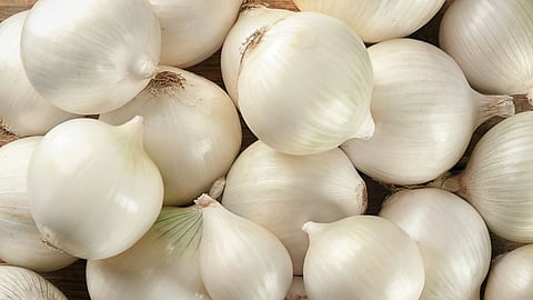 White Onion