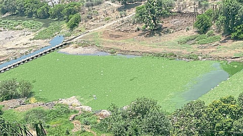 Mula River Pollution