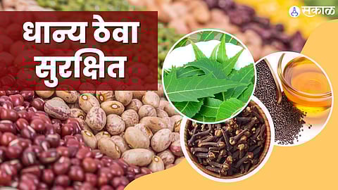 धान्य ठेवा सुरक्षित