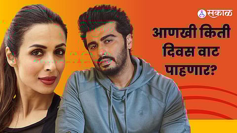 Arjun Kapoor birthday wedding