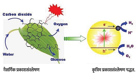 विज्ञानवाटा : कृत्रिम प्रकाशसंश्लेषणाचा ‘जीवनस्रोत’
