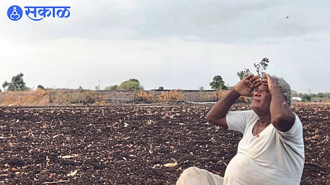 Farmers looking at the filled clouds with hopeful eyes on Thursday.