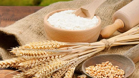Refined Wheat Flour