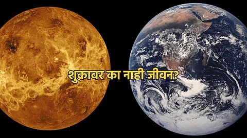 Life on Venus