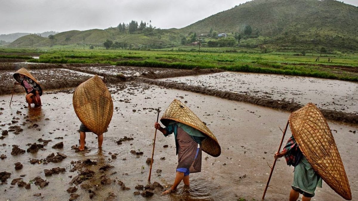 Weather Update Monsoon