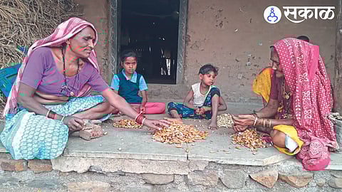 By preparing various products from Mahu flowers provides employment to tribal dhule news