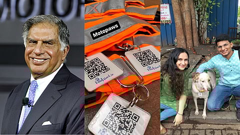 Stray dogs get digital identification