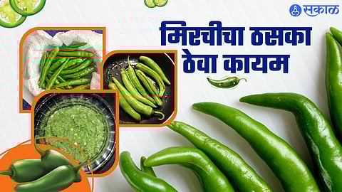how to store green chilli for long time