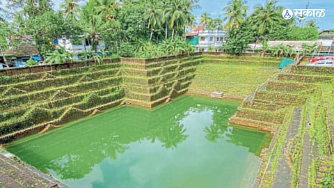 Green revolution temples in Devbhoomi Special Project of Kerala Govt tree wealth