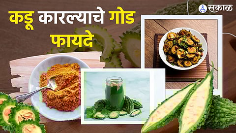 bitter gourd for uric acid control