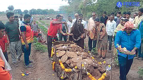 Burzad: Daughter Jayashree Choudhary while cremating her father's remains.