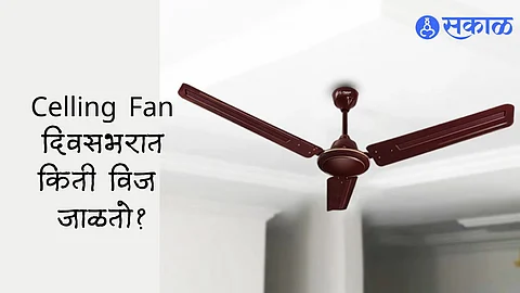 Ceiling Fan Facts