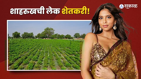 Suhana Khan: शाहरुखची लेक होणार महाराष्ट्राची शेतकरी, 'या' ठिकाणी खरेदी केली कोट्यवधींची जमीन