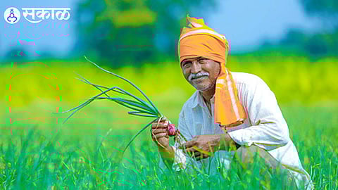 pm kisan