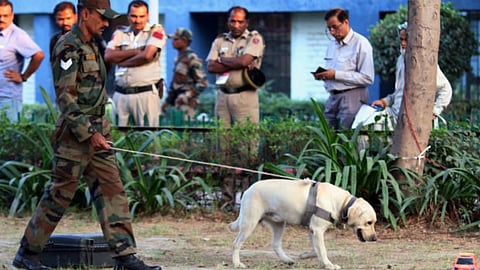 Karad Inspection By Forensic Team Dog Squad