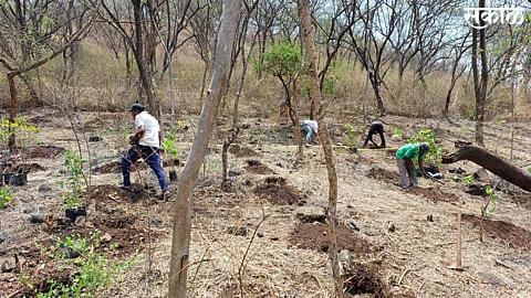 World Environment Day News