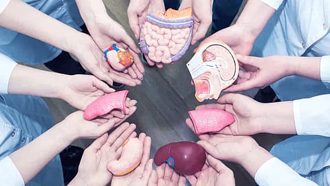 Organ Donation