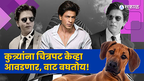 Shah Rukh Khan tweet