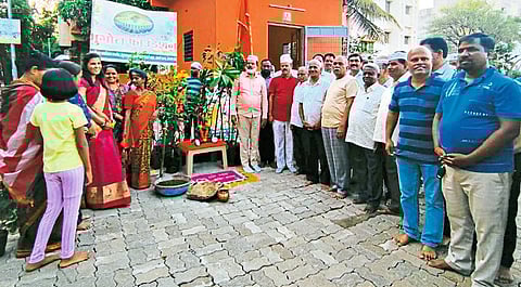 पर्यावरणदिनानिमित्त वृक्षारोपण, जनजागृती