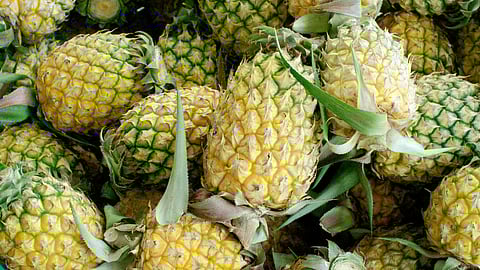 Pineapple Benefits
