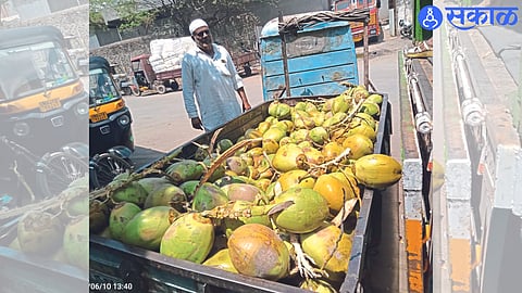 Malegaon: Businessman Javed Sheikh carrying coconuts from a three-wheeler rickshaw in the cratered area here