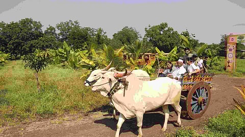 Agri Tourism