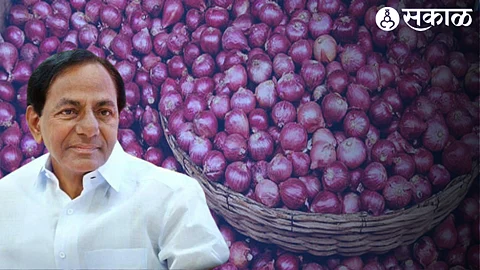 Telangana Onion Rate: BRS नेत्यांच्या दाव्याची शेतकऱ्याकडून पोलखोल! कांदा लिलाव व दराची मांडली कैफियत 