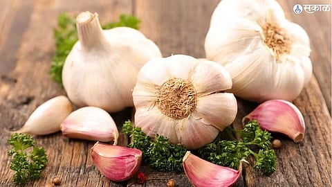 Health Benefits Of Garlic
