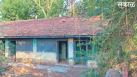 Amalner: The dilapidated construction of this old police colony has started falling down.