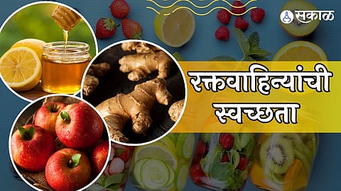 रक्तवाहिन्यांची स्वच्छता