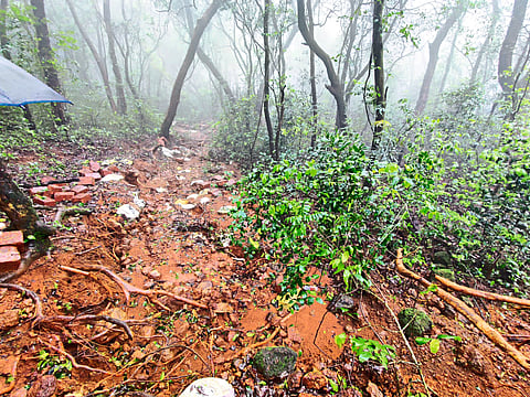 माथेरानच्या मालडुंगा पॉईंटवर भूस्खलन