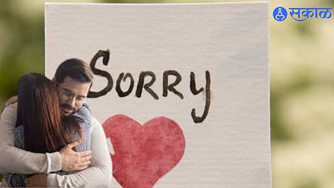Relationship Tips how to say sorry to partner
