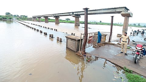 kolhapur rain update dam water level sowing agriculture monsoon weather