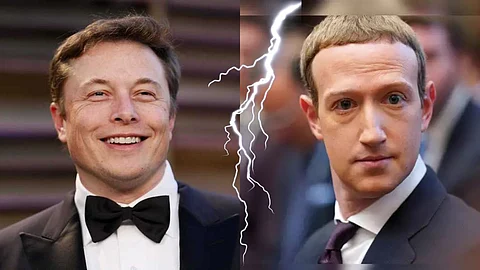 Elon Musk Earnings