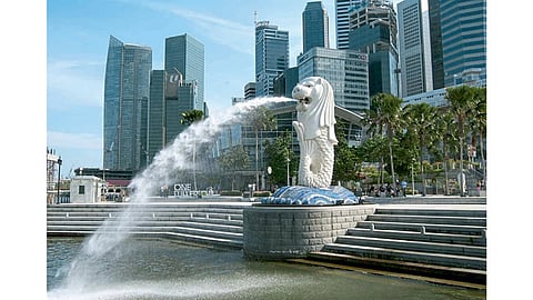 west indies cricket politics