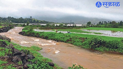 Due to heavy rainfall in the western belt of Igatpuri taluka and the catchment area of the dams, the water in the Darna Dam is stagnating.