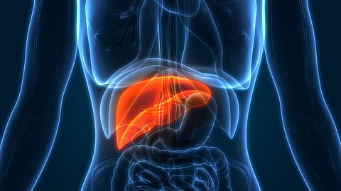 Healthy Liver Tips