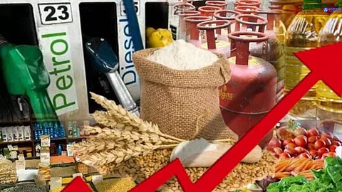 vegetables prices increasing